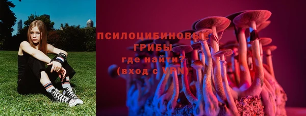 меф Бородино