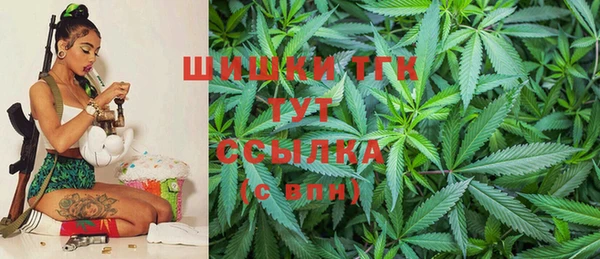 молекула духа Лихославль