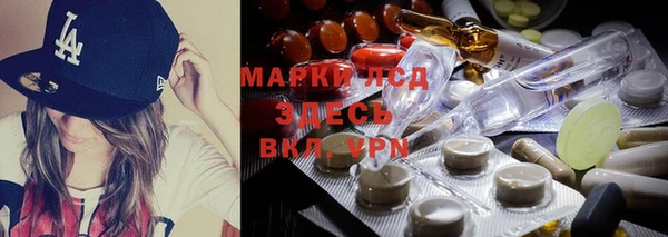 ECSTASY Магадан