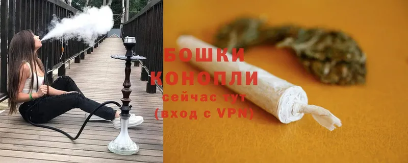 Бошки марихуана THC 21%  наркотики  Жуков 